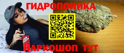 индика Бузулук