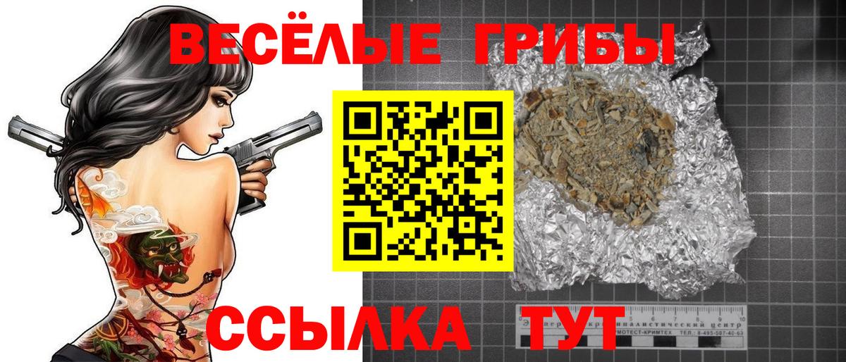 Галлюциногенные грибы Psilocybe  Вход с VPN  Галлюциногенные грибы прущие грибы  закладка  Михайловка 